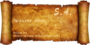 Spiczer Alex névjegykártya